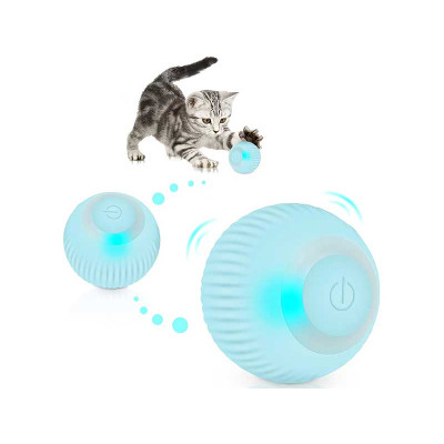 The ball toy for the cat